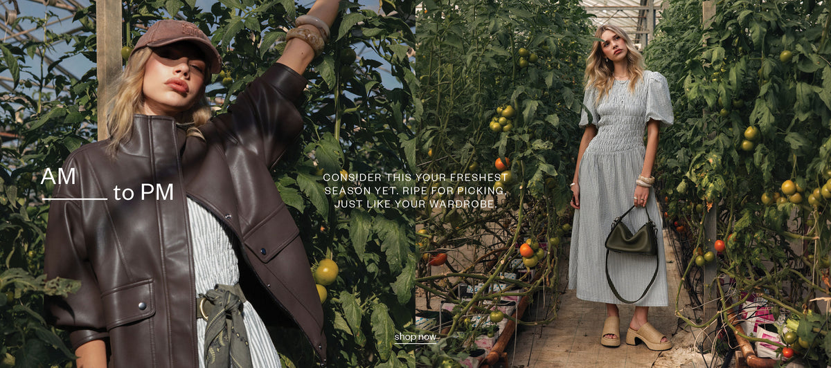 Max_Website_Homepage_Refresh_Assets_3000_x_1330_2