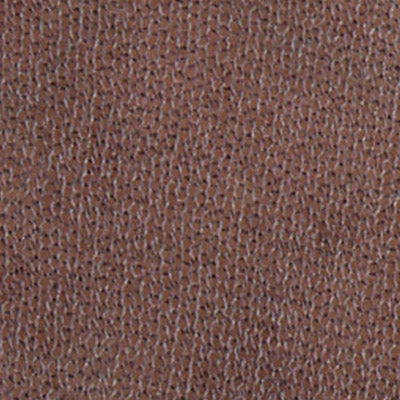 Close-up of NZ brown textured leather surface with small, uniform dotted patterns.